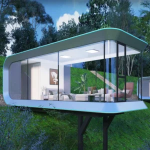 Modern Tiny House Capsule Home with Bedroom